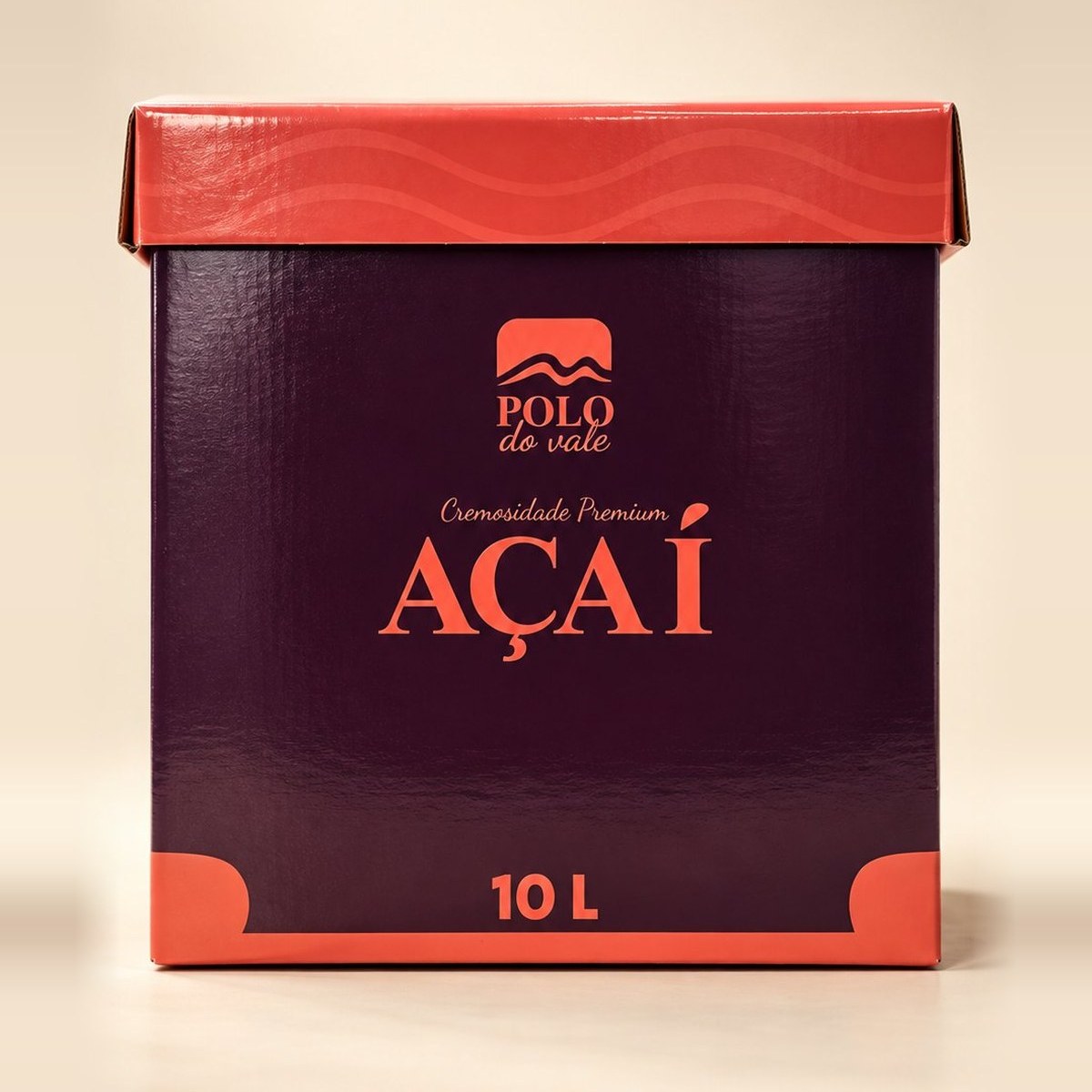 Caixa de açaí Polo do Vale 10 L