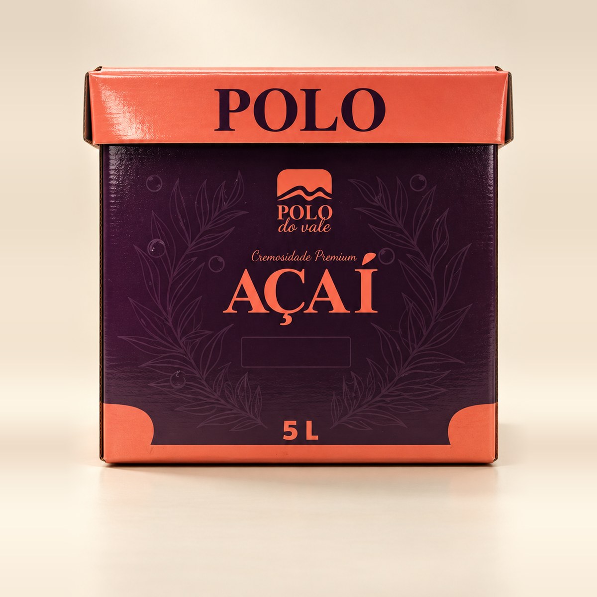 Caixa de açaí Polo do Vale 5 L