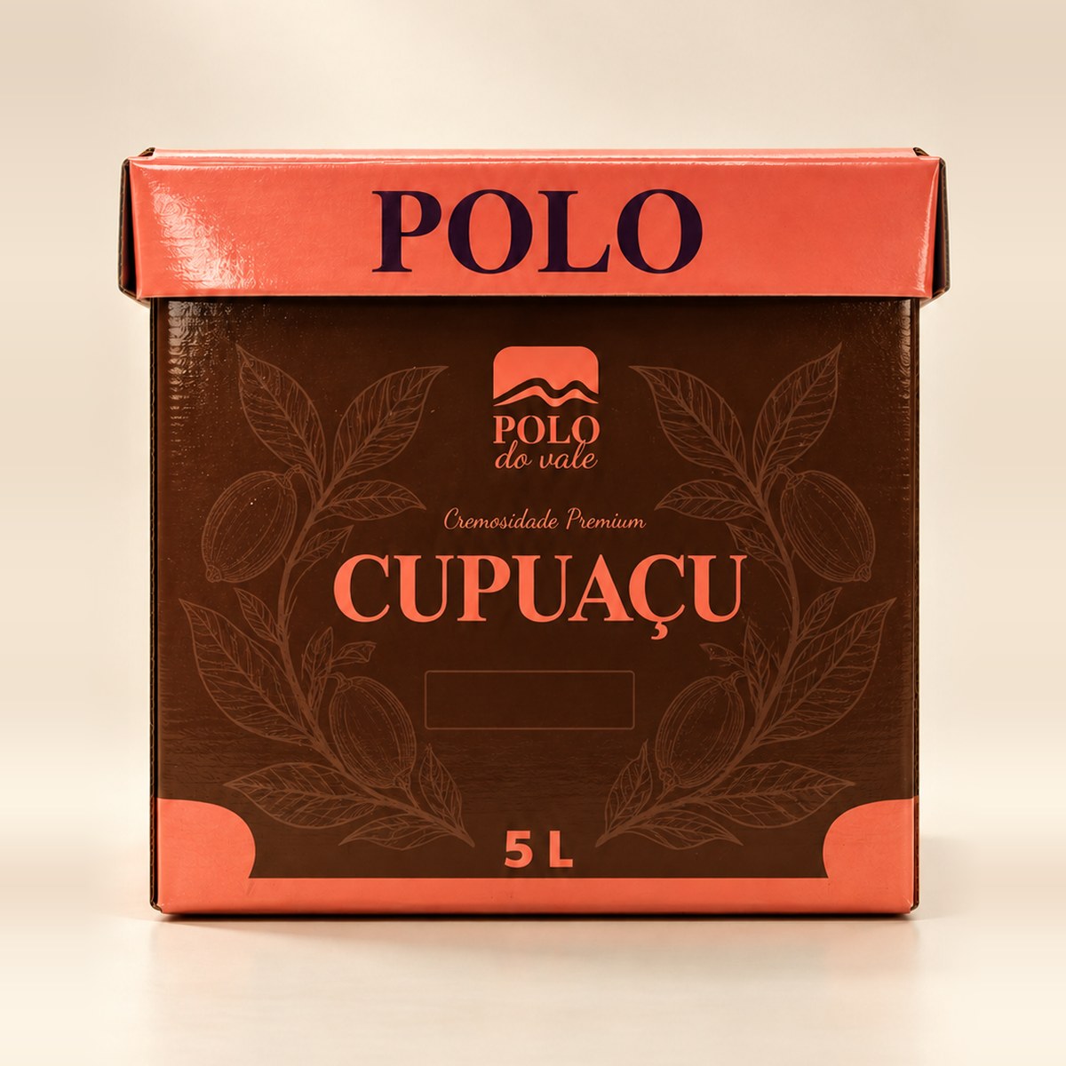 Caixa de cupuaçu Polo do Vale 5 L